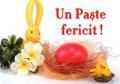iepure-pasti.jpg