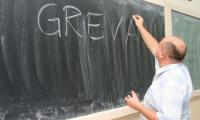 Greva