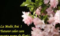 La Multi Ani, de Florii! La Multi Ani, de Florii!