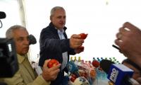 Producatori