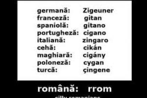 tigan-in limbile europene