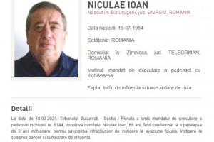 Ioan Niculae.