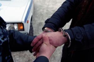 Cei doi teleormaneni au fost arestati de Politia Targu Jiu.