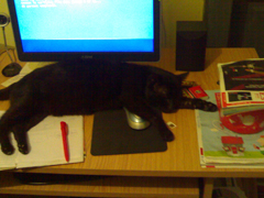 am prins mouse-ul