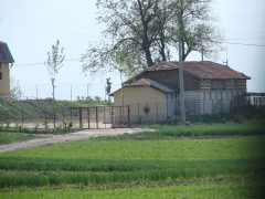 Paradis Poiana