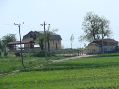 Paradis Poiana