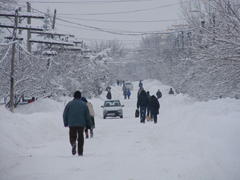 Iarna in Turnu-Magurele (Odaia)