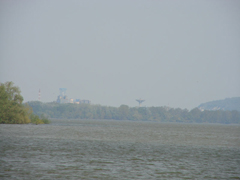 Donauchem
