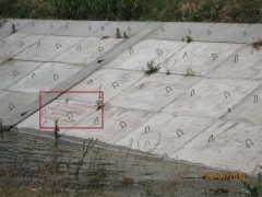 Plajă la Turnu Măgurele