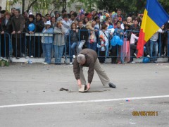 Ce aduni...