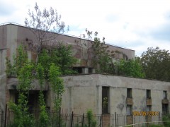 Pădure pe ruini