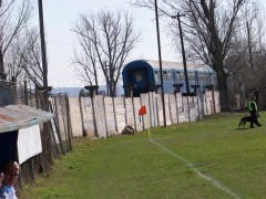 Turris Turnu Magurele - Oltchim Ramnicu Valcea 0-1