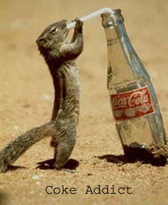 dependent de coca