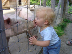 kiss