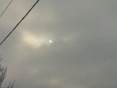 Eclipsa partiala de Soare