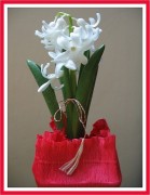 Martisor