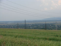 Ciuperceni si Poiana