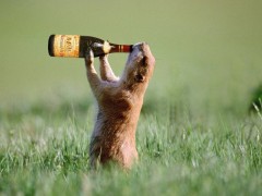 Tare de tot :)) 