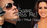 Nayer, Pitbull, Mohombi, un trio de succes.