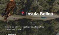 Insula Belina Insula Belina