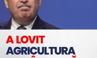 Gadea ii da clasă lui Bolo