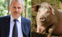 Liviu Dragnea