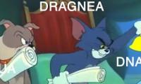 Cand vin Statele Unite cu racheta.