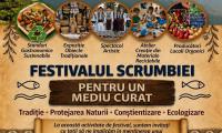Festival