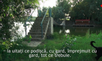 Insula Belina.
