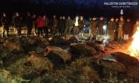 Caracatita a inhatat mai multi porci mistreti.