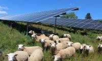 Parc solar