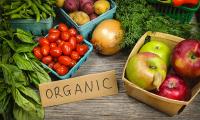 Organic