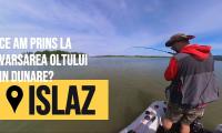 Islaz