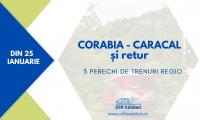 Trenuri