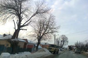 Iveco Massif, autoturismul de vanatoare al lui L.Dragnea