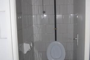 WC-ul, marea realizare a lui Gadea.