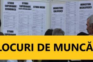 Locuri de munca.