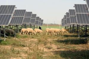 Parc solar
