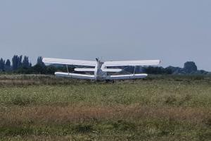Avion