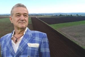 Becali