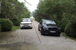 Doi dintre bolizii familiei Dragnea.