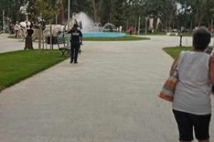 Cai in Parcul Municipal
