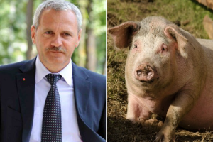 Liviu Dragnea