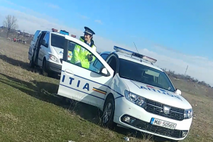 Segarcea