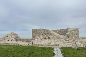 Cetatea Turris