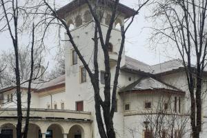 Cinema Flacara