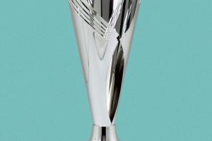 Trofeul acordat castigatoarei Cupei Teleormanul.