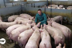 Fermier