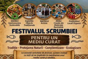Festival