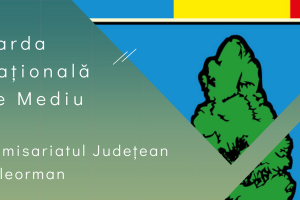 Garda